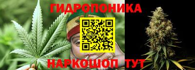 СК Абакан