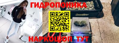 СК Абакан