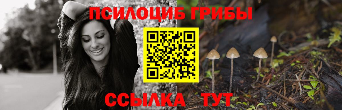 Псилоцибиновые грибы Psilocybine cubensis Ангарск